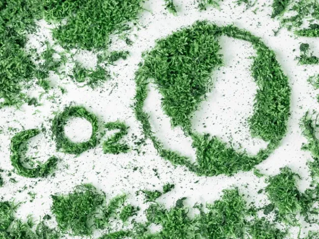 CO2